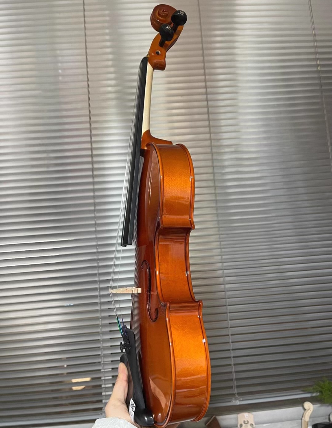 Viola kayu solid 14
