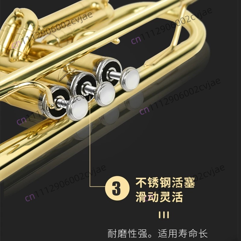 Cocok untuk alat musik terompe - Musical Instrument Drum ulasan dan harga